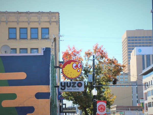 Looking for Sushi? Go check out Yuzo in Automobile Alley 