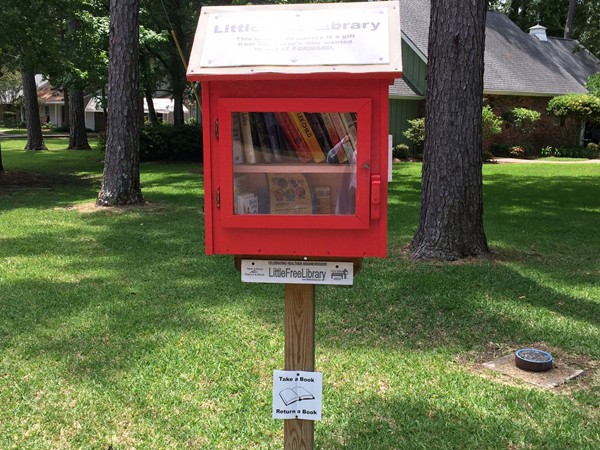 Free mini library in Beau Rivage subdivision
