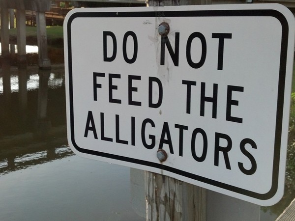 Words to live by at Daphne's D'Olive Boardwalk Park otherwise known as Gator Alley