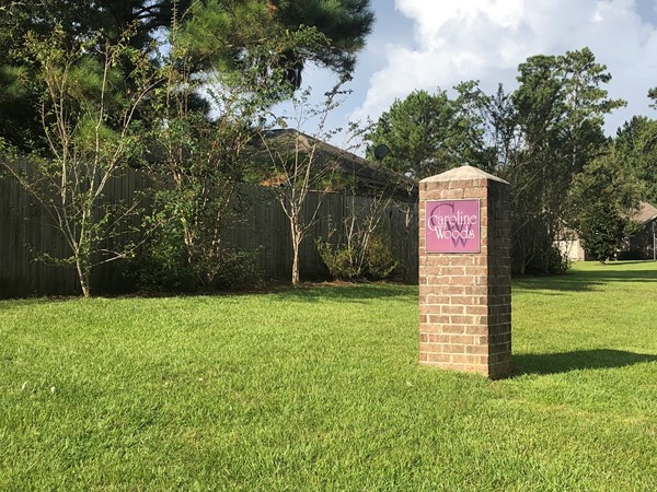 Adorable subdivision, centrally located in Daphne, with approx 100 homes