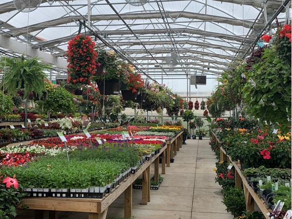 It’s time to get all of your plants and flowers for the spring and summer at Colonial Nursery