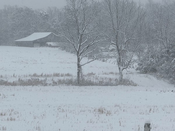 Snow day on the farm 