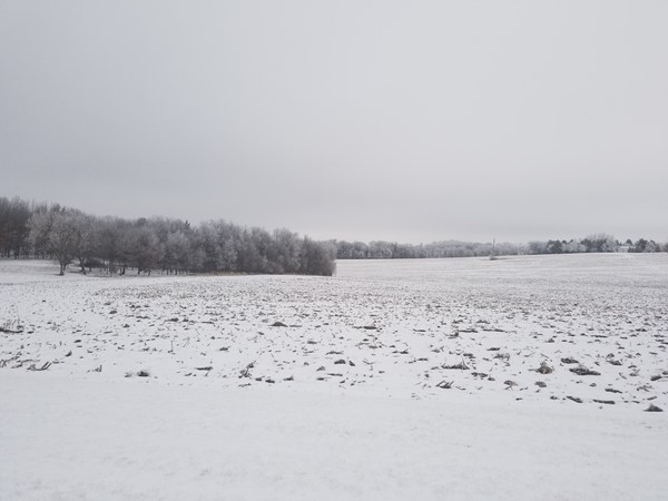 Snow covered fields