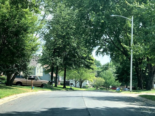 The tree-lined streets at Woodgate
