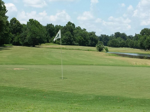 Tallapoosa Lakes golf course.  Convenient to Montgomery and Emerald Mountain