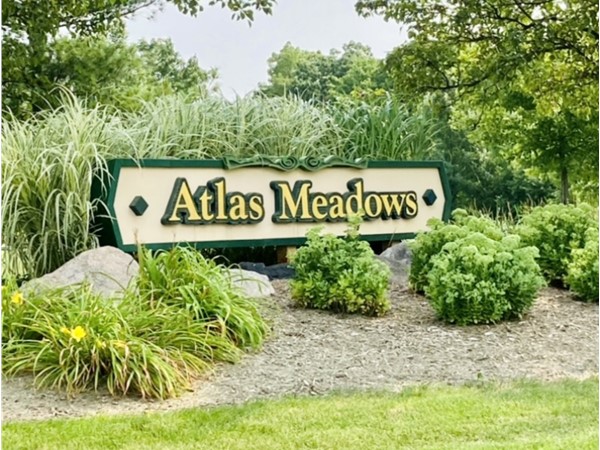 If you are looking for a large lot with a subdivision feel: Atlas Meadows is your place