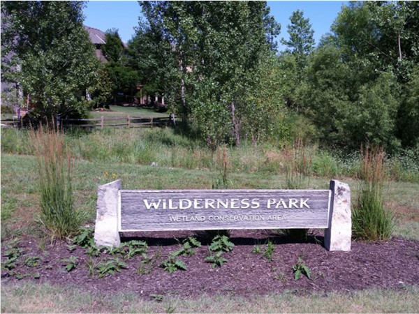 Wetland Conservation Area in Wilderness Park