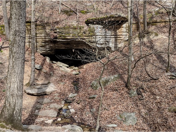 Another cave at Roaring River