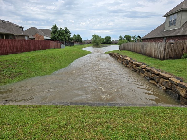 The neighborhood pond is fuller than ever, thanks to all the rain we've had in May 2025