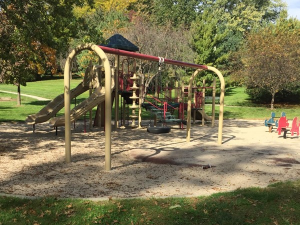Deer Ridge park playground