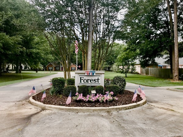 Forest Green Drive in Greenleaves Subdivision