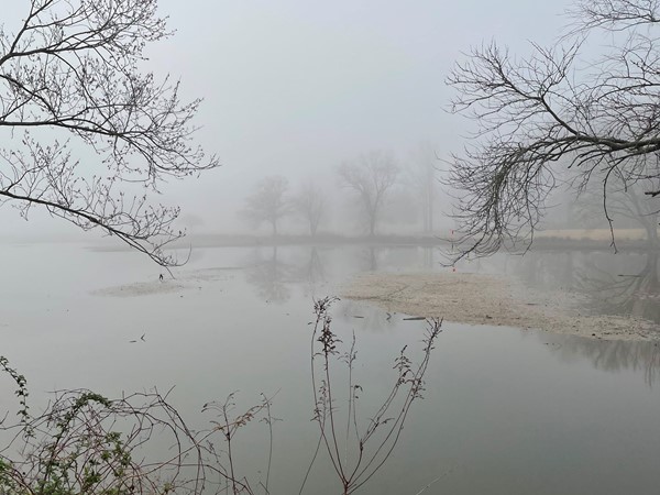 Foggy morning at the Point Mallard Golf Course in Decatur