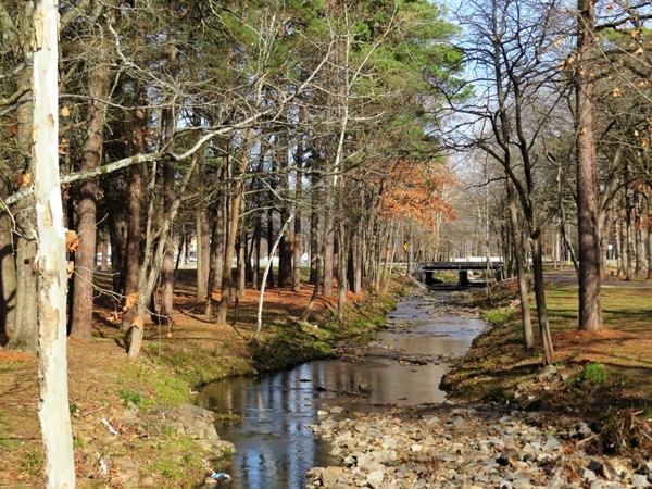 Coleman Creek at the University of Arkansas at Little Rock