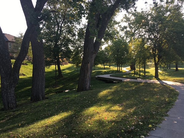 Take a stroll along this trail from Copperfields Park over to Whitehawk Lake