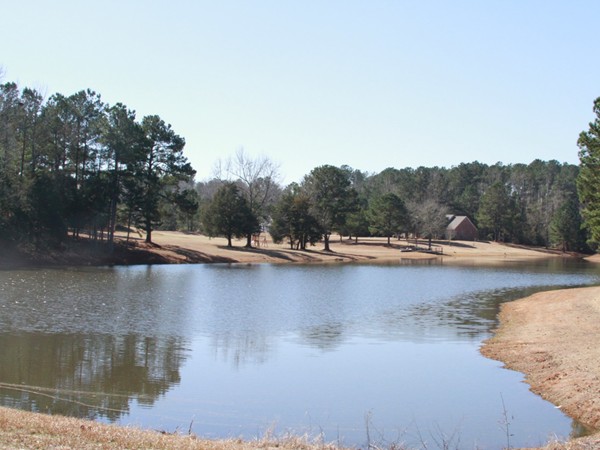 " The Beautiful Lake"  at the Dixie Springs Estate in Summit, MS!