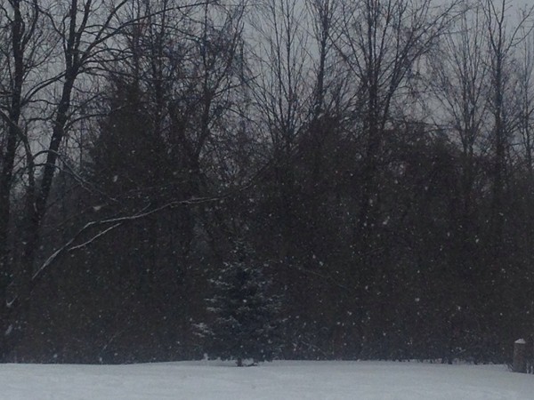 Snow blankets our winter wonderland in Grand Blanc Township!
