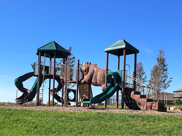 Truly something for everyone in this subdivision, check out this play place