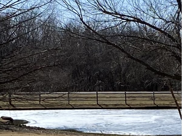 Blue skies, warm weather, and the ice is melting on our pond in the Estates of Apple Valley  