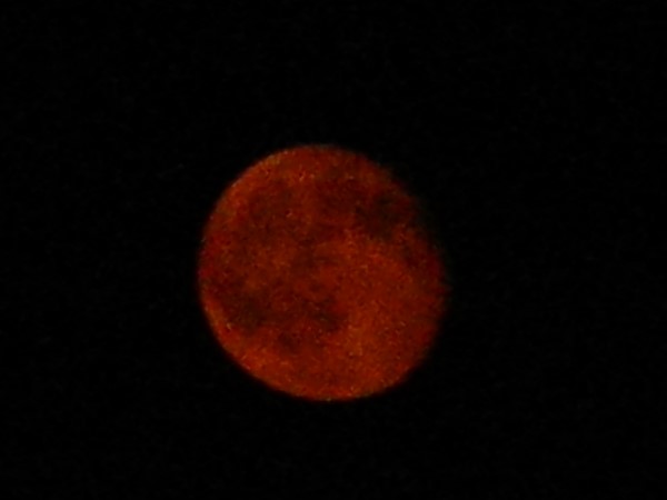 Amazing how red the moon was recently