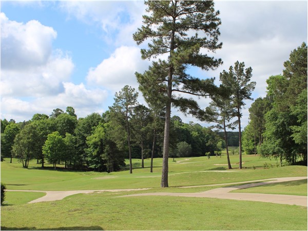 Calvert Crossing features green rolling hills and a variety of golf tournaments