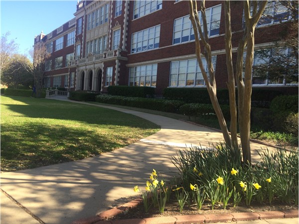 Spring has beautifully sprung at our Historic C.E.Byrd High School