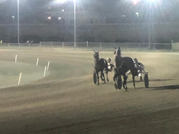 Live harness racing at Michigan’s only pari-mutual track, Northville Downs