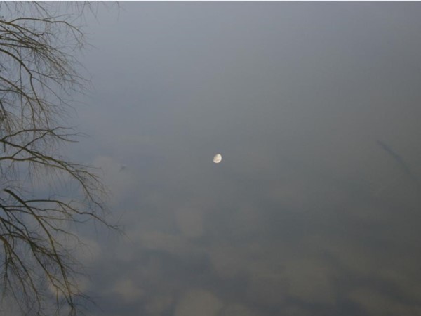 Moon reflection in the water of Coot Lake. One of many lakes in James A Reed Conservation Area
