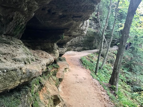 Hiking in Munising on a path to see a waterfall