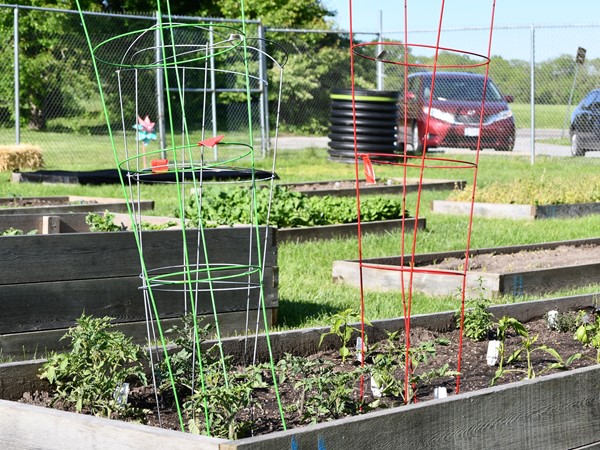 Enjoy a day working in the Community Garden of Byars Road in Grandview