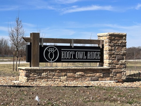 Hoot Owl Ridge – a hidden gem for buyers! 