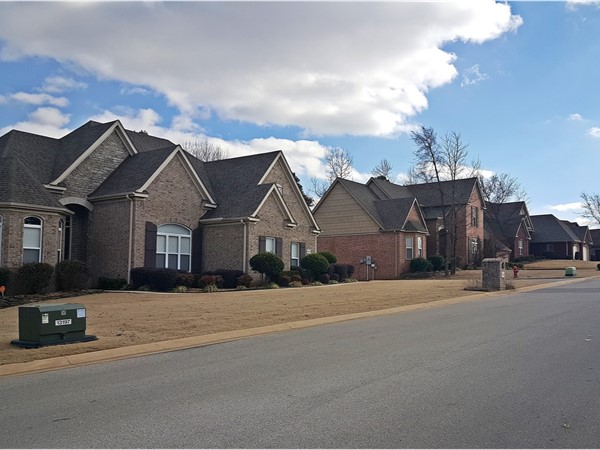 The beautiful Chapel Hill subdivision in Jonesboro