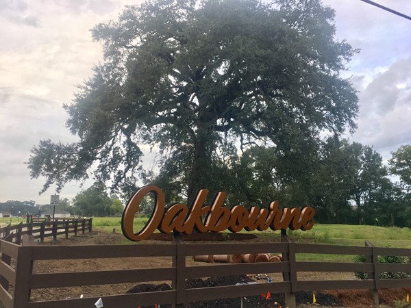 Oakbourne in Dutchtown - A gated community