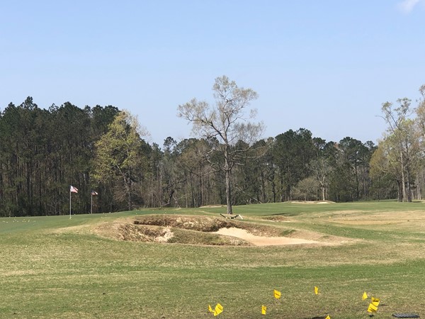 An 18 hole championship golf course you will want to play, located in Springfield La