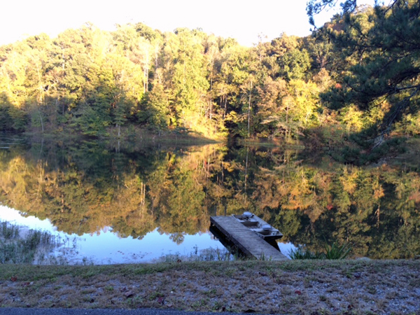 Enjoying a fall afternoon at the lake at beautiful Blount Springs