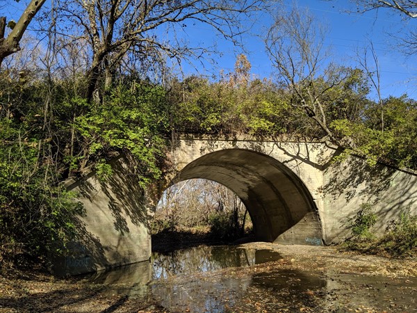 McGowan Bridge at Martha Lafite Thompson Nature Sanctuary