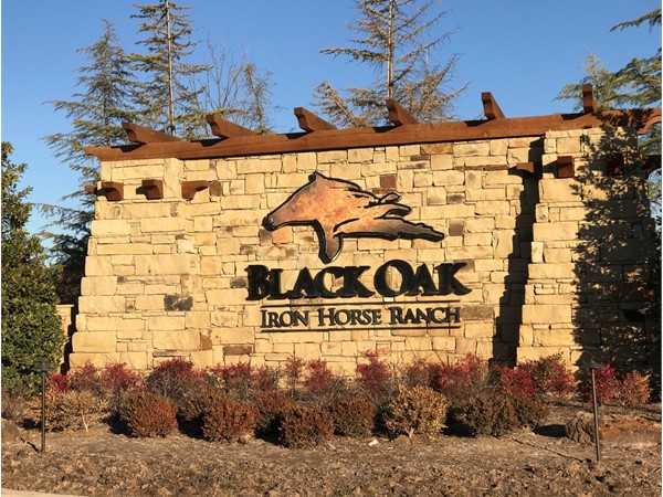 Gated, Black Oak at Iron Horse Ranch