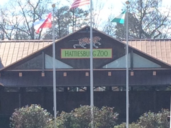 Hattiesburg Zoo is the perfect day of fun for kids and adults alike