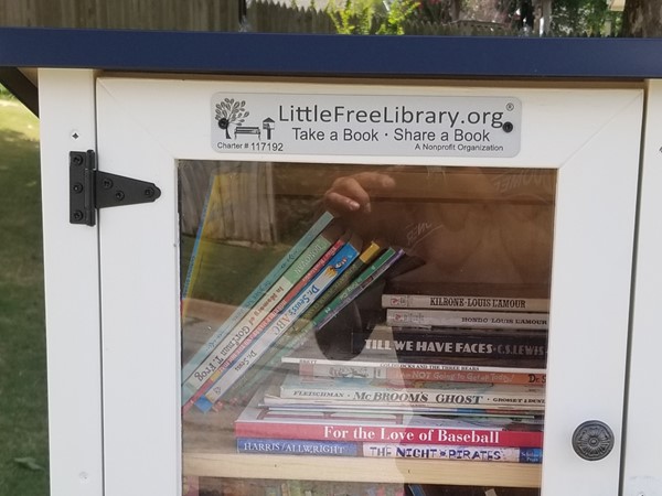 Love this little free library in the neighborhood! Such a fun treat for the kids! 