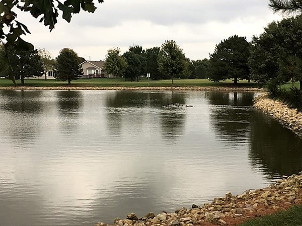 Aberdeen offers several beautiful ponds throughout the neighborhood