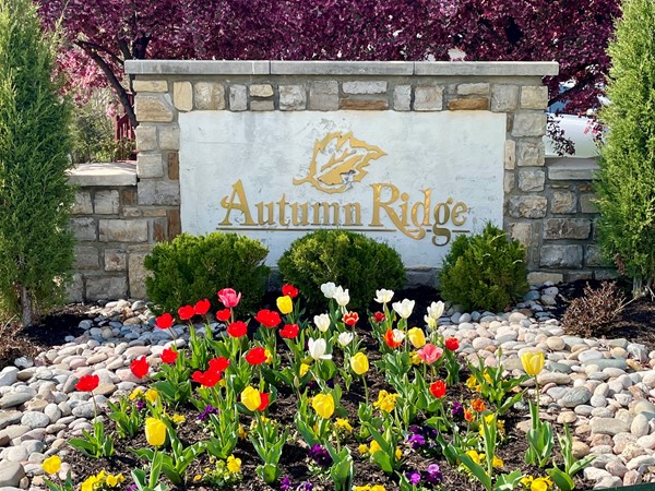 Beautiful entry to Autumn Ridge in the spring