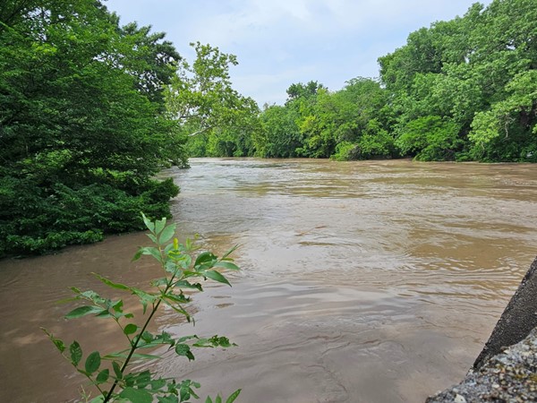 Cottonwood River running good for 2025