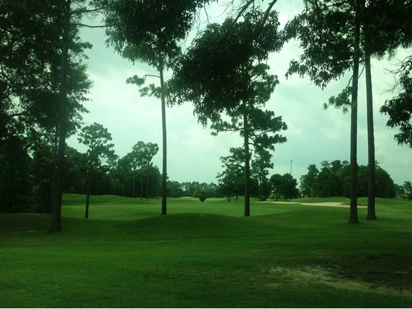 Timbercreek Golf Course has a four star rating from Golf Digest. Enjoy a round today!