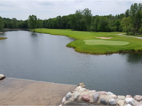 Hidden gem in Kent City! Tee off from on top of a waterfall at The Falls at Barber Creek