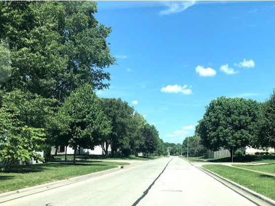 The tree-lined street of Quail Park
