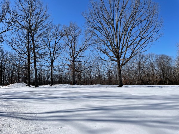 Winter Wonderland just waiting for you to build your dream home