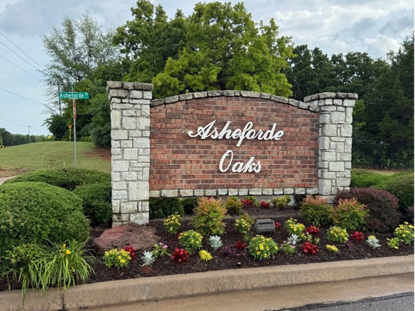 Bright blooms and timeless charm—Asheforde Oaks welcomes you home