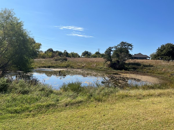 Pond in Dow's Hills