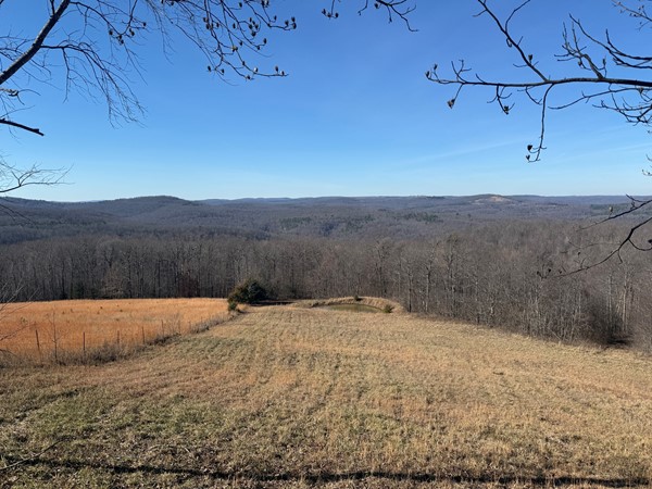 Home with a view! Amazing backyard view of National Forest! No neighbors in sight for miles