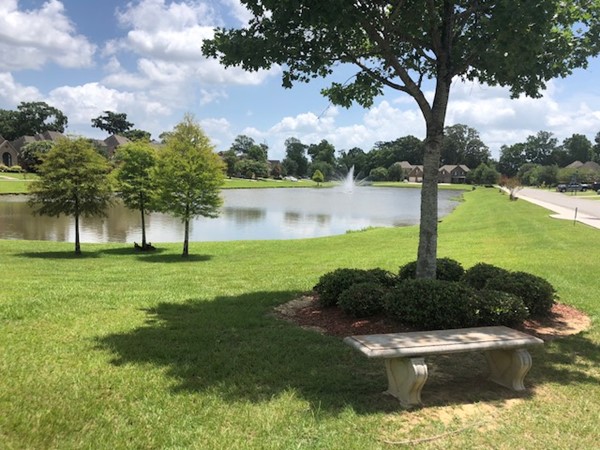 Peaceful lake view in Waterford Lake Subdivision