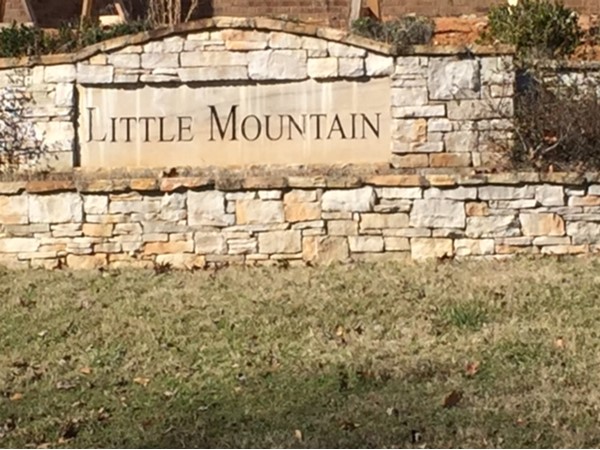 Little Mountain. Gorgeous estate homes